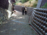 񂳂̏튊sD≮cƂ̓eʐ^1