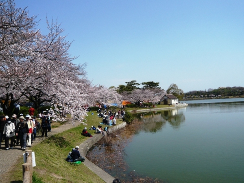 刈谷市の公園 庭園ランキングtop4 じゃらんnet