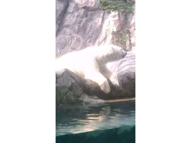 ���R������