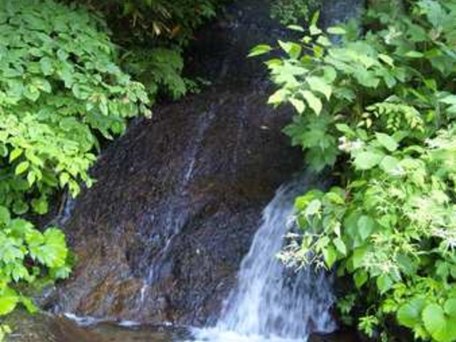 [܂܂̏򍻖hI[gLv̓eʐ^1