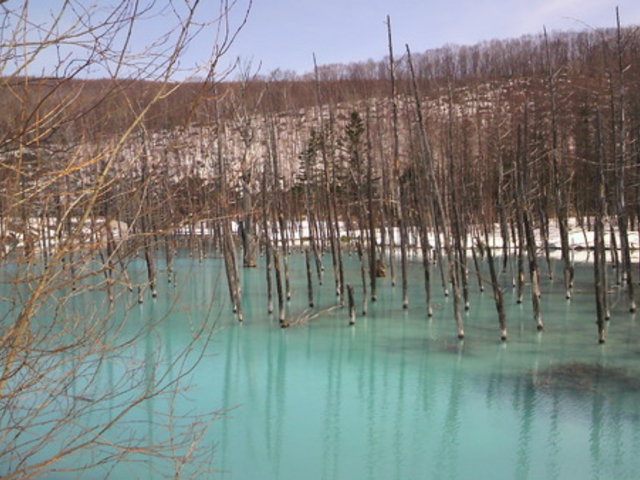 iĩ{X̂тόg̓eʐ^1