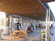 񂳂̓̉w@rIX̓eʐ^1