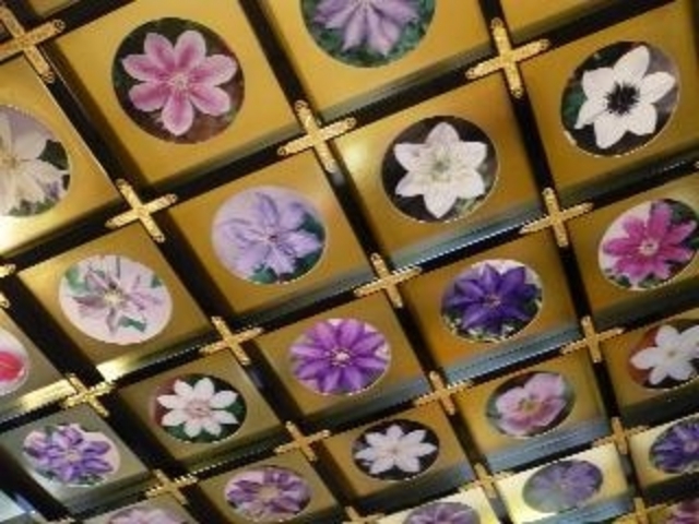 rina����̖{�o���i�Ă����񎛁j�̓��e�ʐ^1