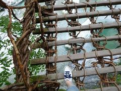 �c�J�̂����狴�̎ʐ^1