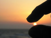 kametaro36̓C̓eʐ^1