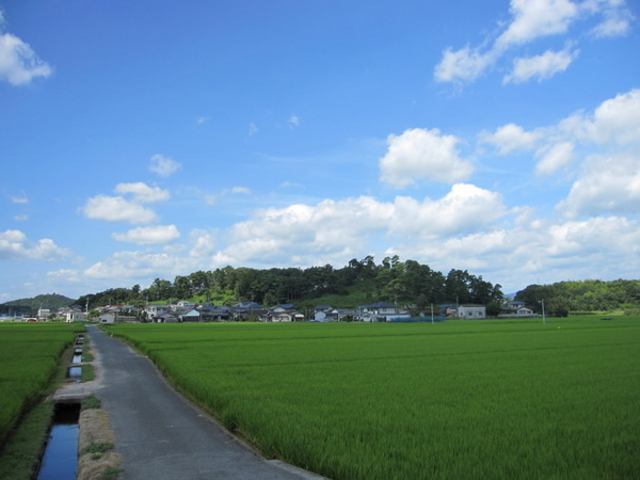 񂳂̍RÕiRЎsj̓eʐ^1