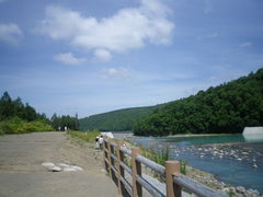 ӂ܂܂̐rւ̓eʐ^1