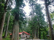 asahi����̔��R�����_�Ђ̐X�̓��e�ʐ^1