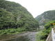 よっちんさんの高梁川（岡山県新見市）の投稿写真1