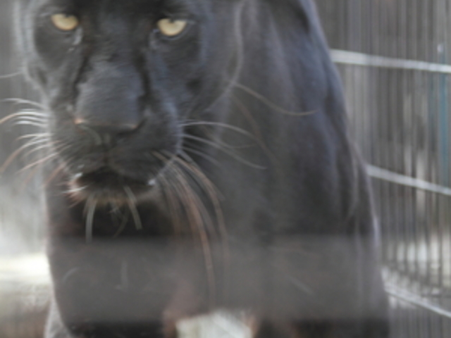 ���R������