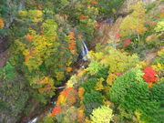 ͂邿񂳂̔֒ȃXJCC̓eʐ^1