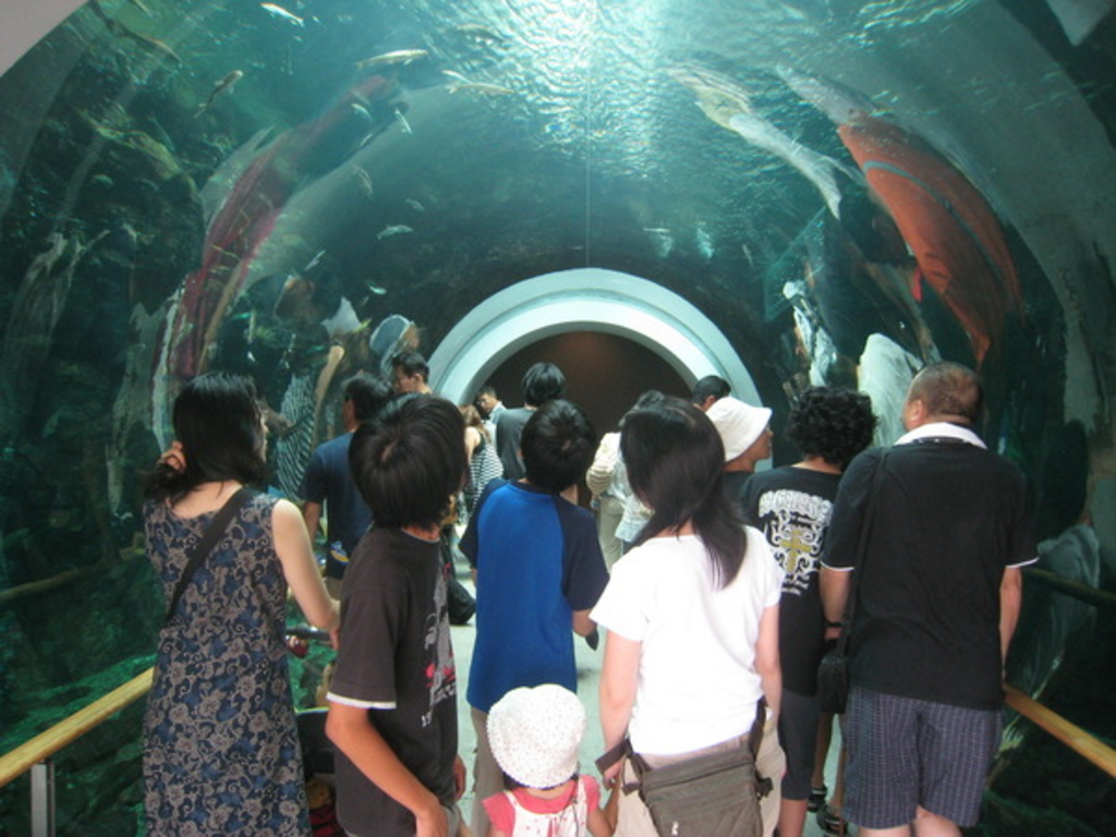 琵琶湖博物館