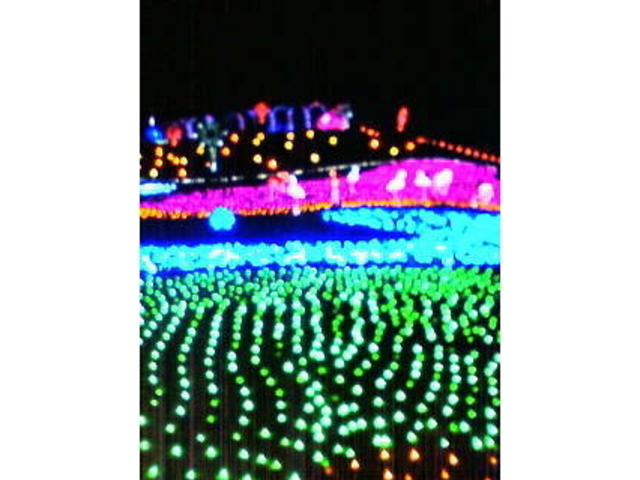 �����h�C�c��