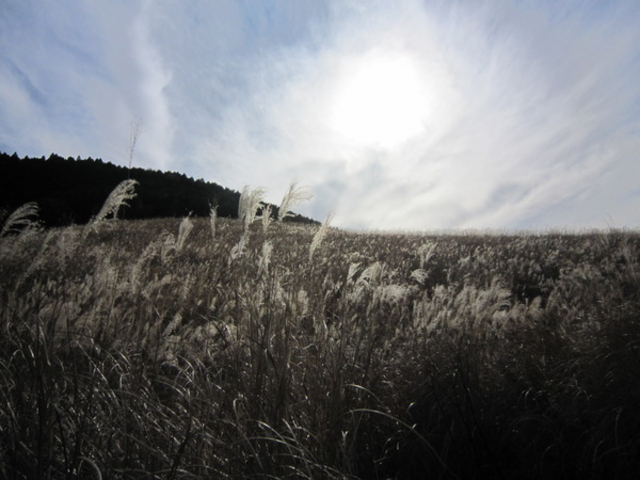 ��Ό�����