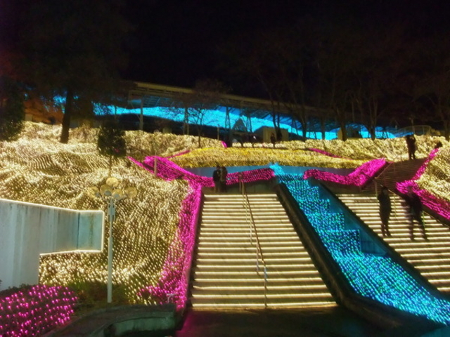 �������䂤����