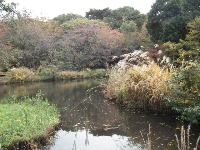 �����Ȋw�����ٕ������R���牀