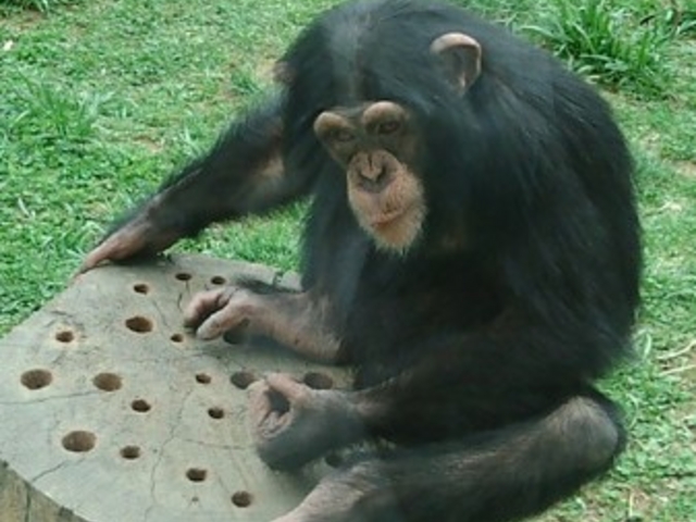 �~�R������