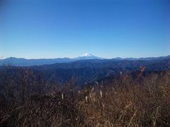 スマートさんの大岳山（東京都檜原村）の投稿写真1