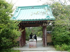 �Ƃ��̂�P����̌������ւ̓��e�ʐ^1