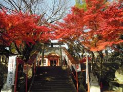 ひろさんの御霊神社（京都府福知山市）の投稿写真1