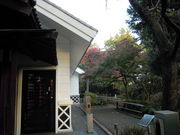 �Ђ낳��̑�c�旧�R�������L�O�ق̓��e�ʐ^1