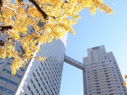 [̃Xg[N EBY XJCEW RESTAURANT LUKE with SKY LOUNGE̓eʐ^1