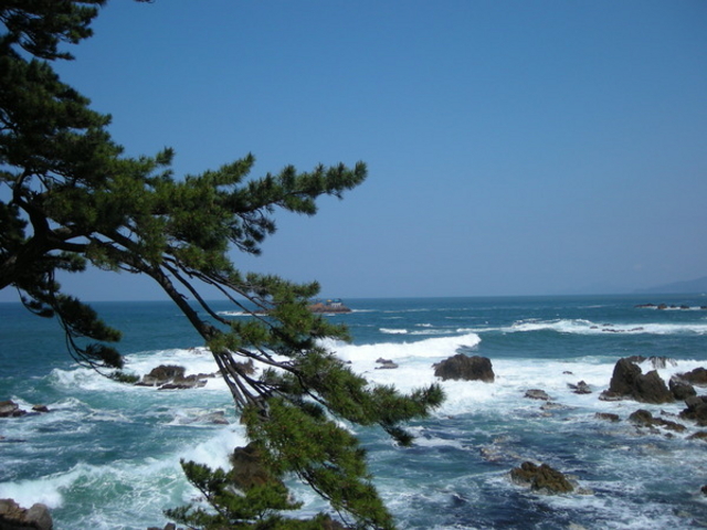 ���a�R�C��