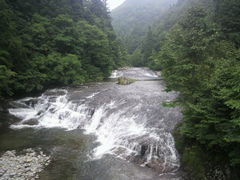 渓流 8f9d9_0000226263.jpg