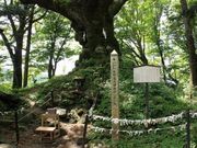 {ԉ@zeʔV̓̃VimL̓eʐ^1