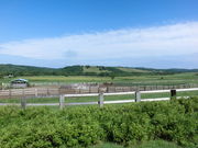 ݂̒ߋǂ񂱖q̓eʐ^1