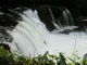 ゆみさんのさくらの滝の投稿写真1
