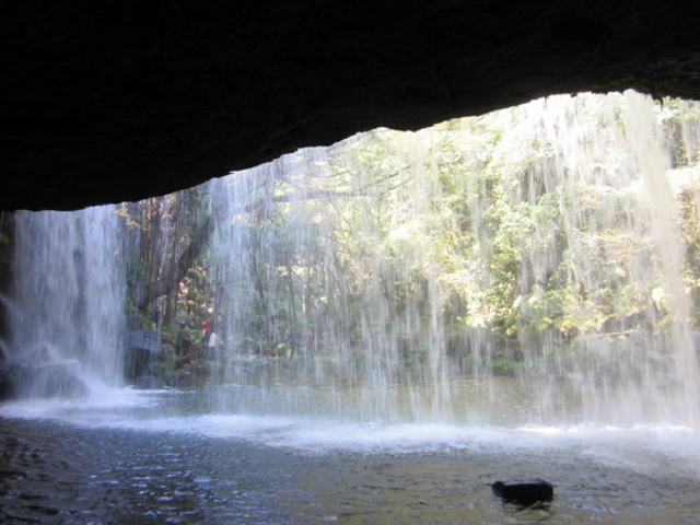 �烖������@�@���E�F�u����̎��O�\�񐧂ɂ������ƂȂ��Ă���܂��B