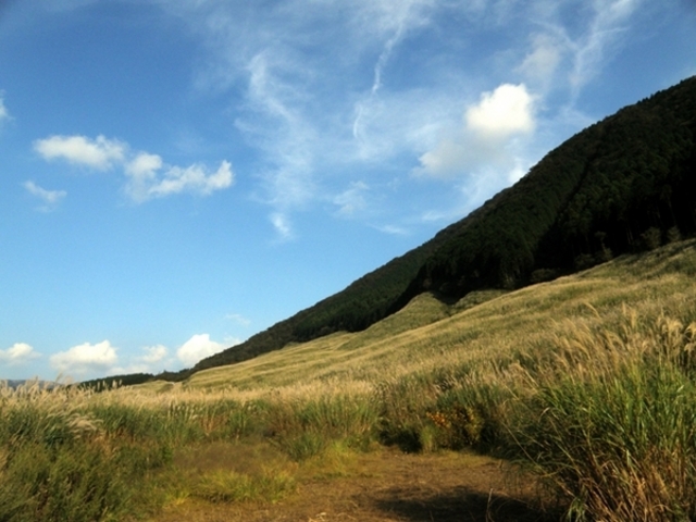 ��Ό�����