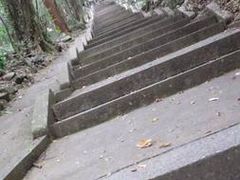 ��J���̎ʐ^1