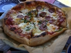 �Ƃ��݂���̃s�U�i���@�Ԑl���ւ̓��e�ʐ^1