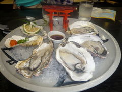 �h����񂳂�̏Ă����̂͂₵�ւ̓��e�ʐ^1