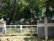 �܁[�����Q����̏��󎑎��̕�̓��e�ʐ^1