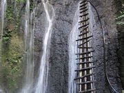 EX-WING����̒|�c�N���Q�̓��e�ʐ^1