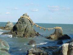 �v�w��̎ʐ^1