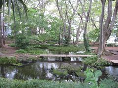 よっちんさんの白滝公園（静岡県三島市）の投稿写真1