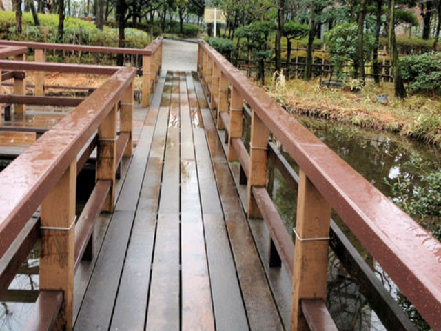 �{�������������̂΂�