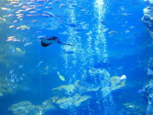 ���s������