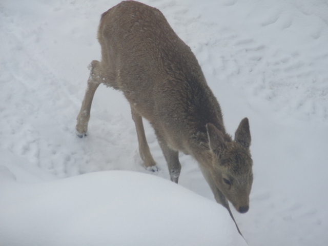 �т�����������