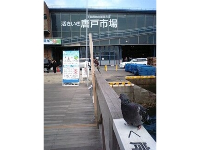 ���ˎs��i���������n�֊X�j