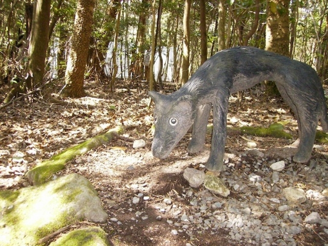 �������������A�[�g�̐X