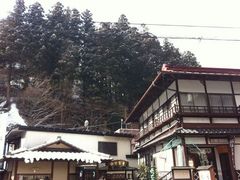 ӂ񂳂̎l@ϑPقւ̓eʐ^1