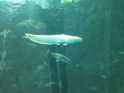 `ReB̎ꌧiΔق̓eʐ^1