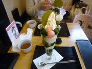 yuukun̈ɓvEq̓eʐ^1