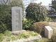 しょうちゃんさんの関宿城跡の投稿写真1