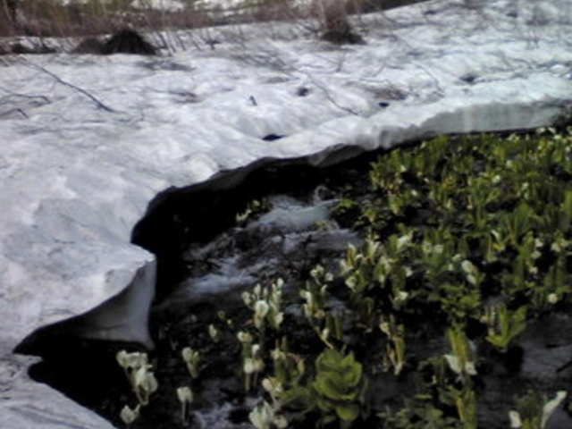 XY̒̒rR̐mԂ̓eʐ^1